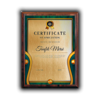 Сертификат под печать.Золото(Формат A4)